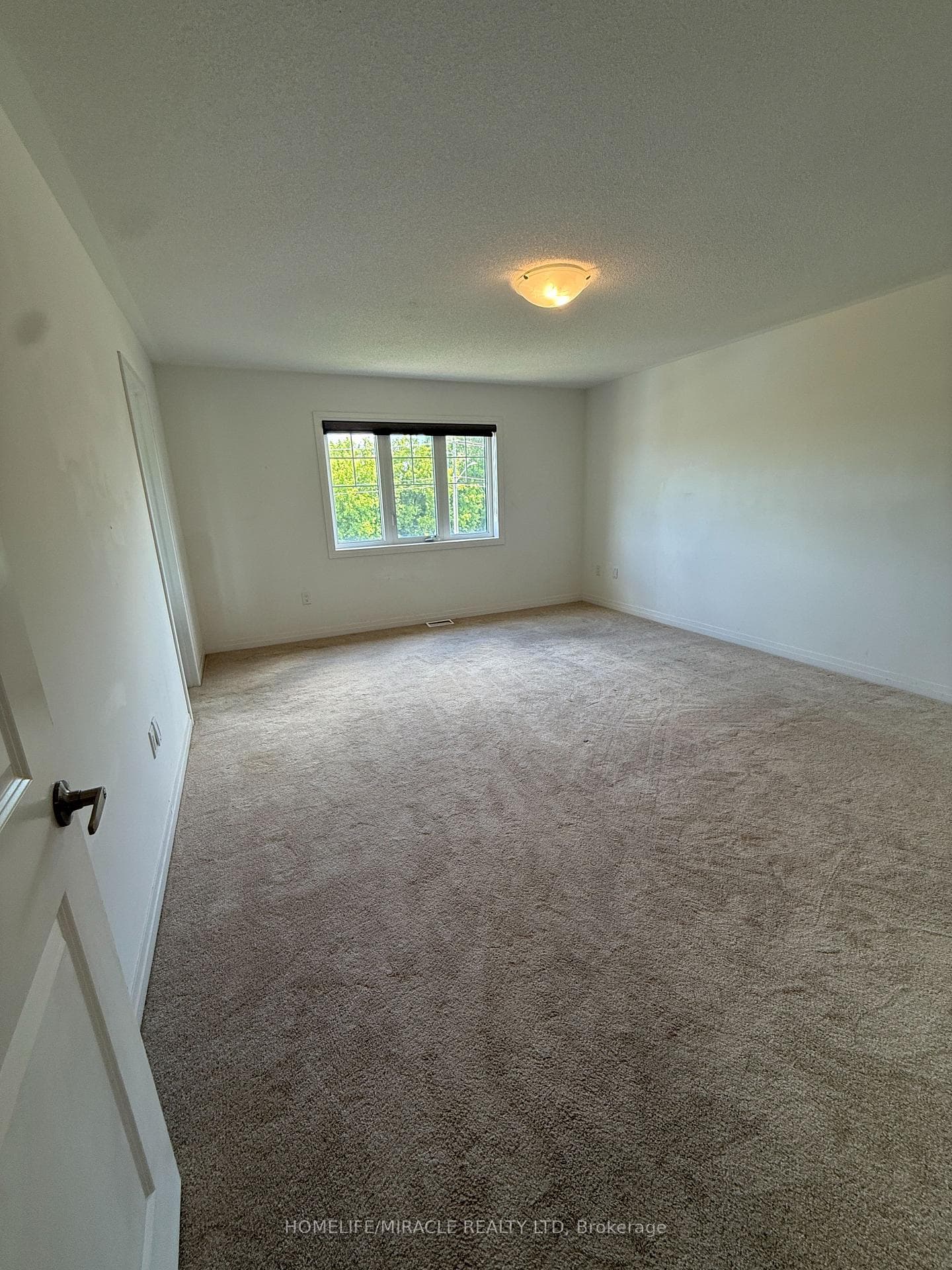 17 Casserley Crescent photo 41