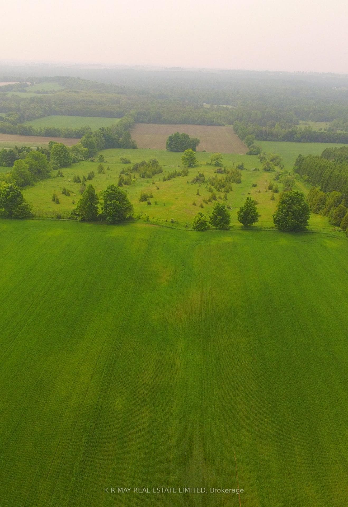 mixture of hay, wheat and clearing for new build