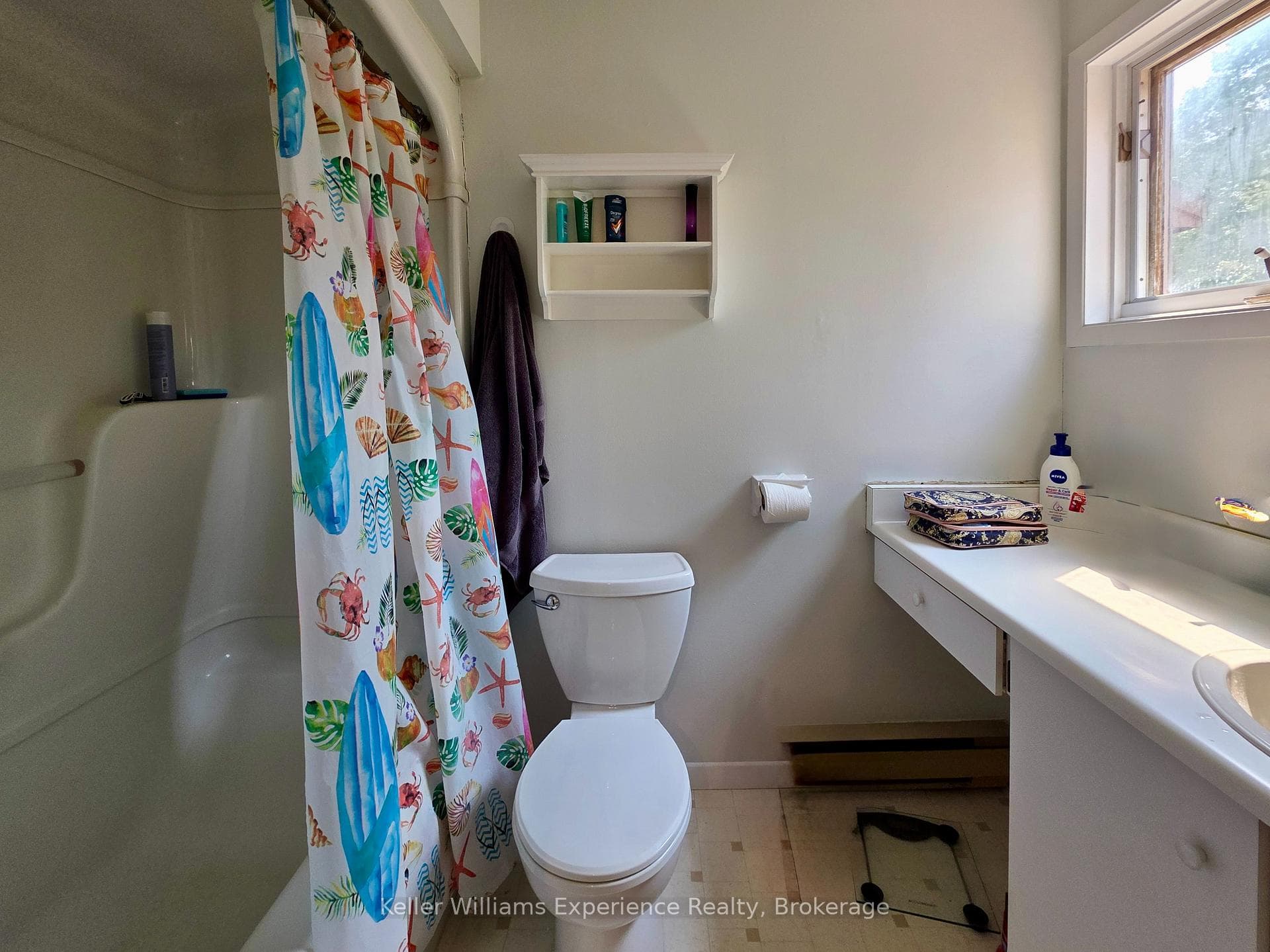 49 Southbank Drive Unit 10 photo 20
