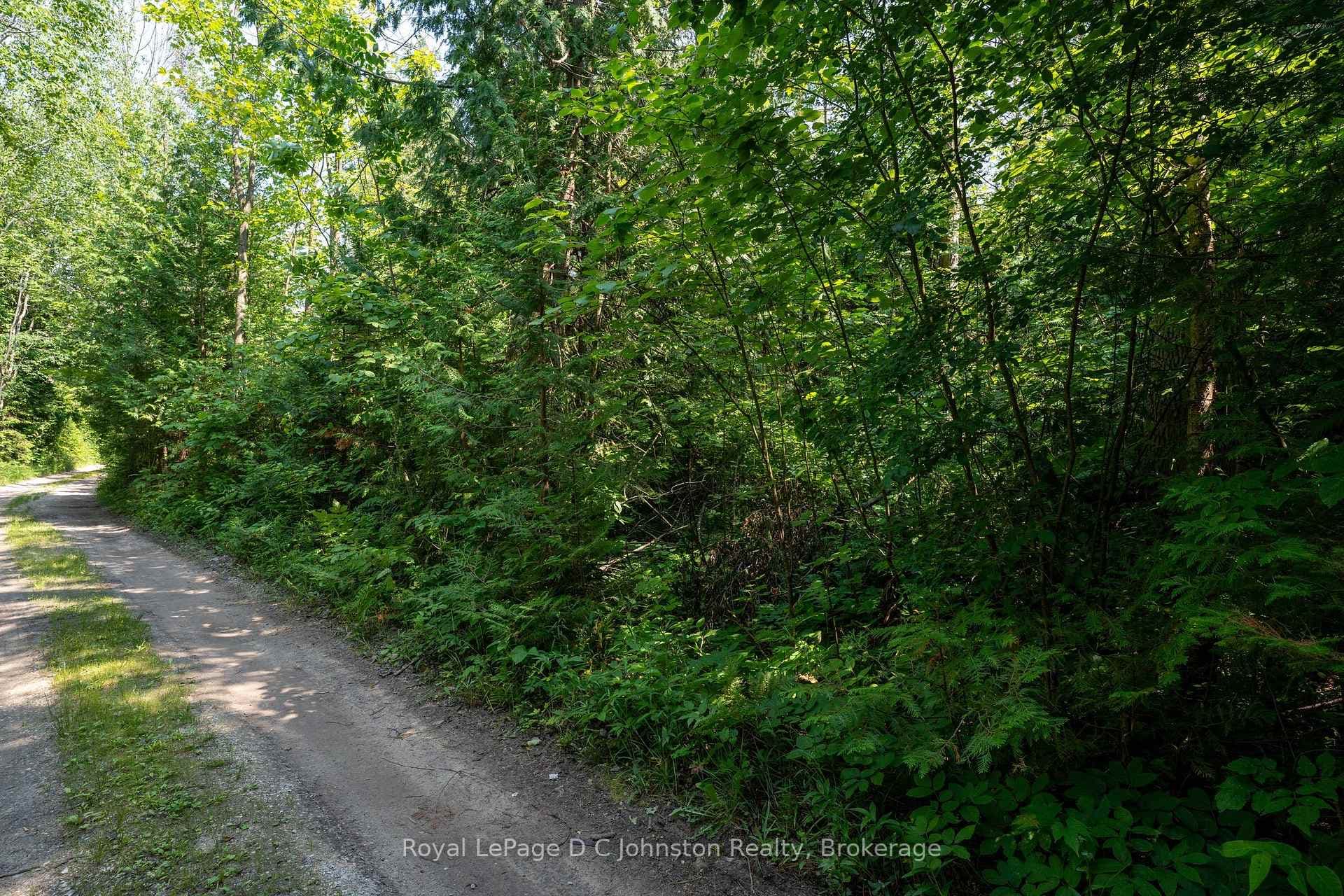 89 Sprucedale Drive photo 9