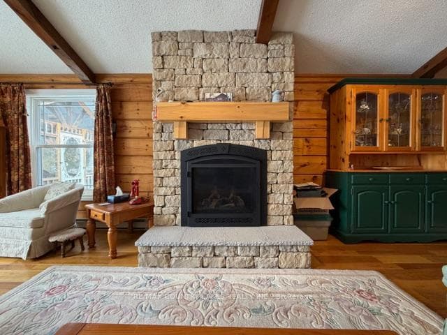 Propane Fireplace