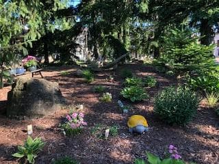 Client supplied Summer Public Garden Photos
