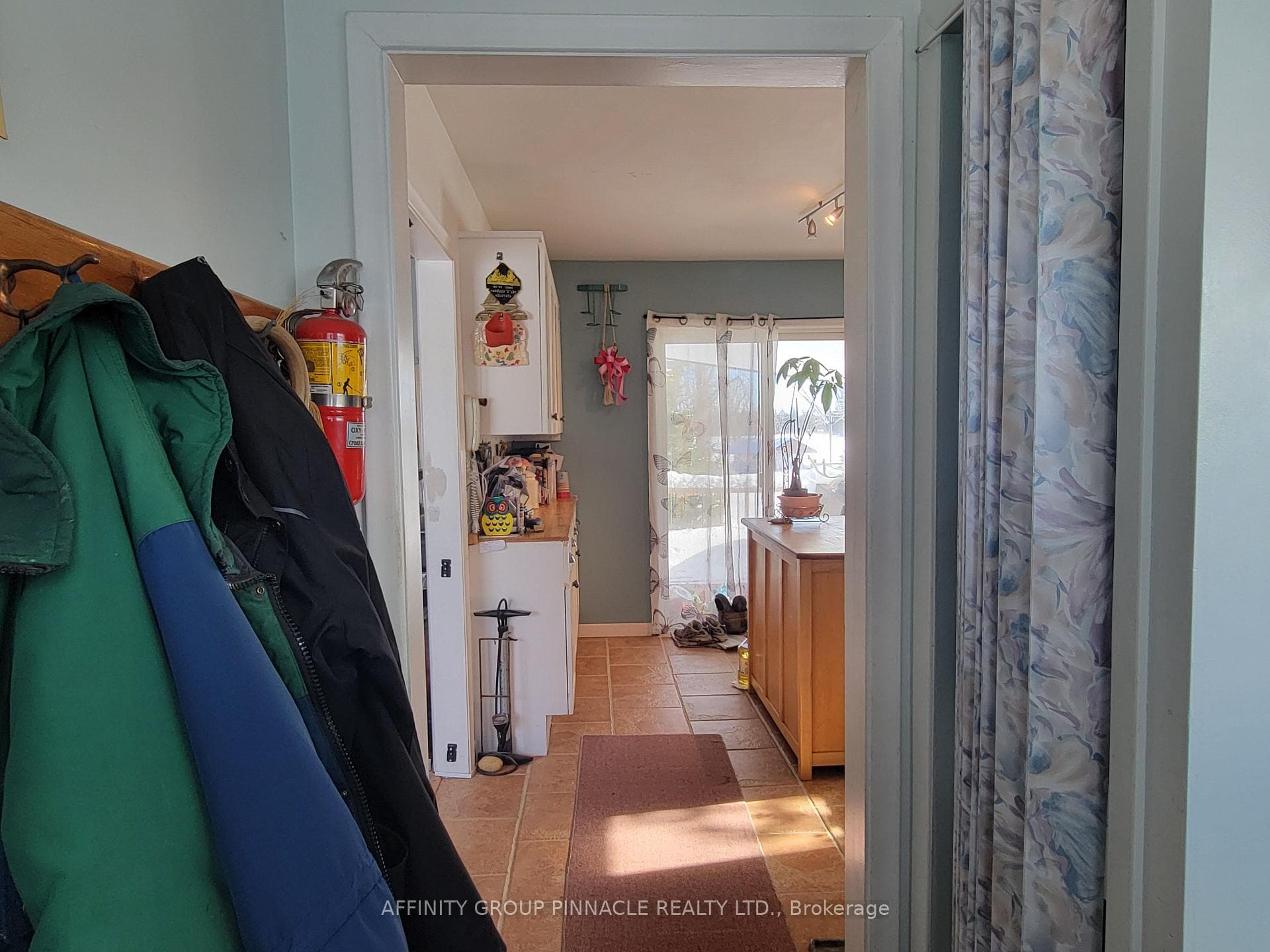 10 Ewen Street photo 8