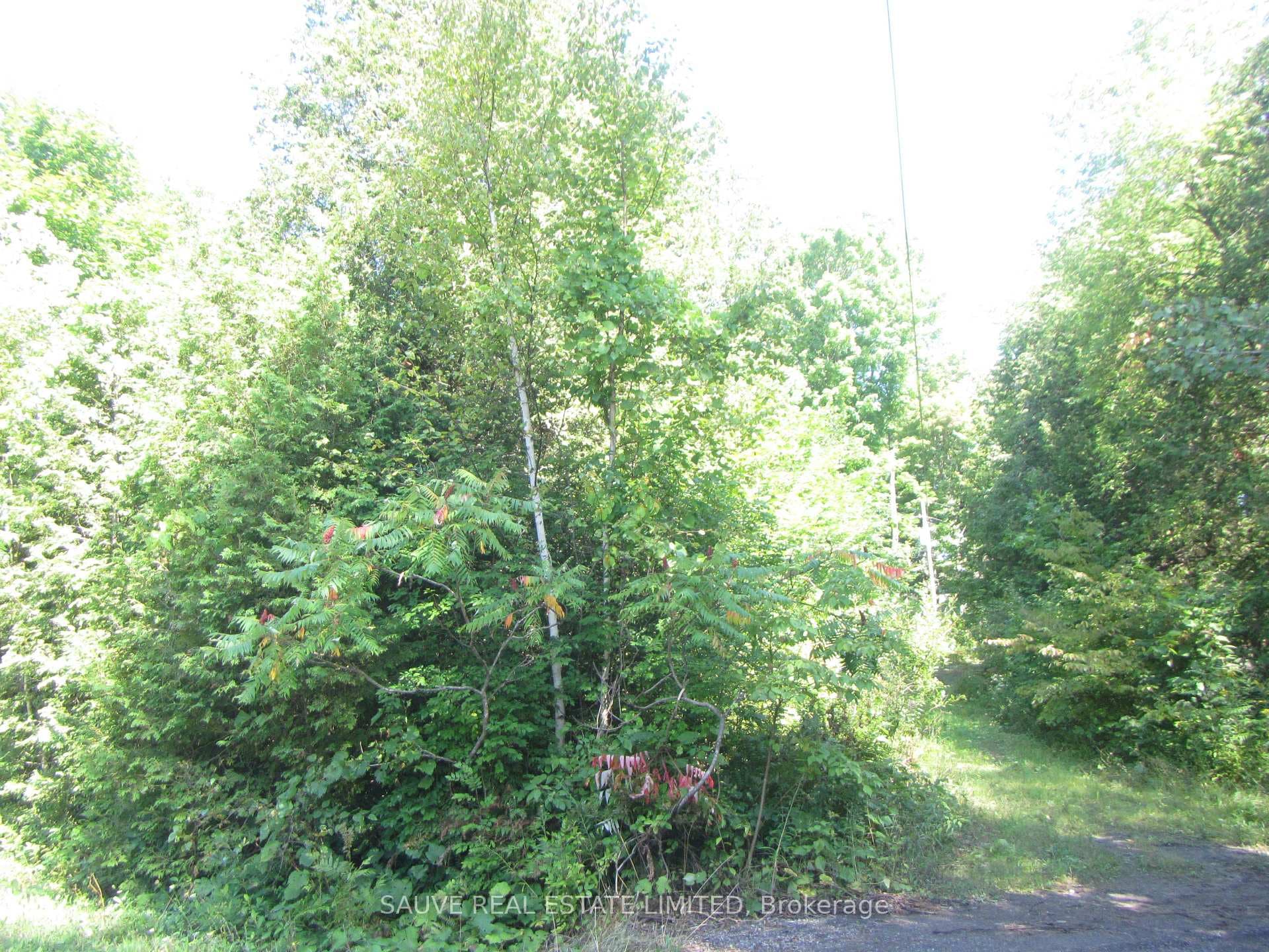 1 PARKHILL Circle photo 22