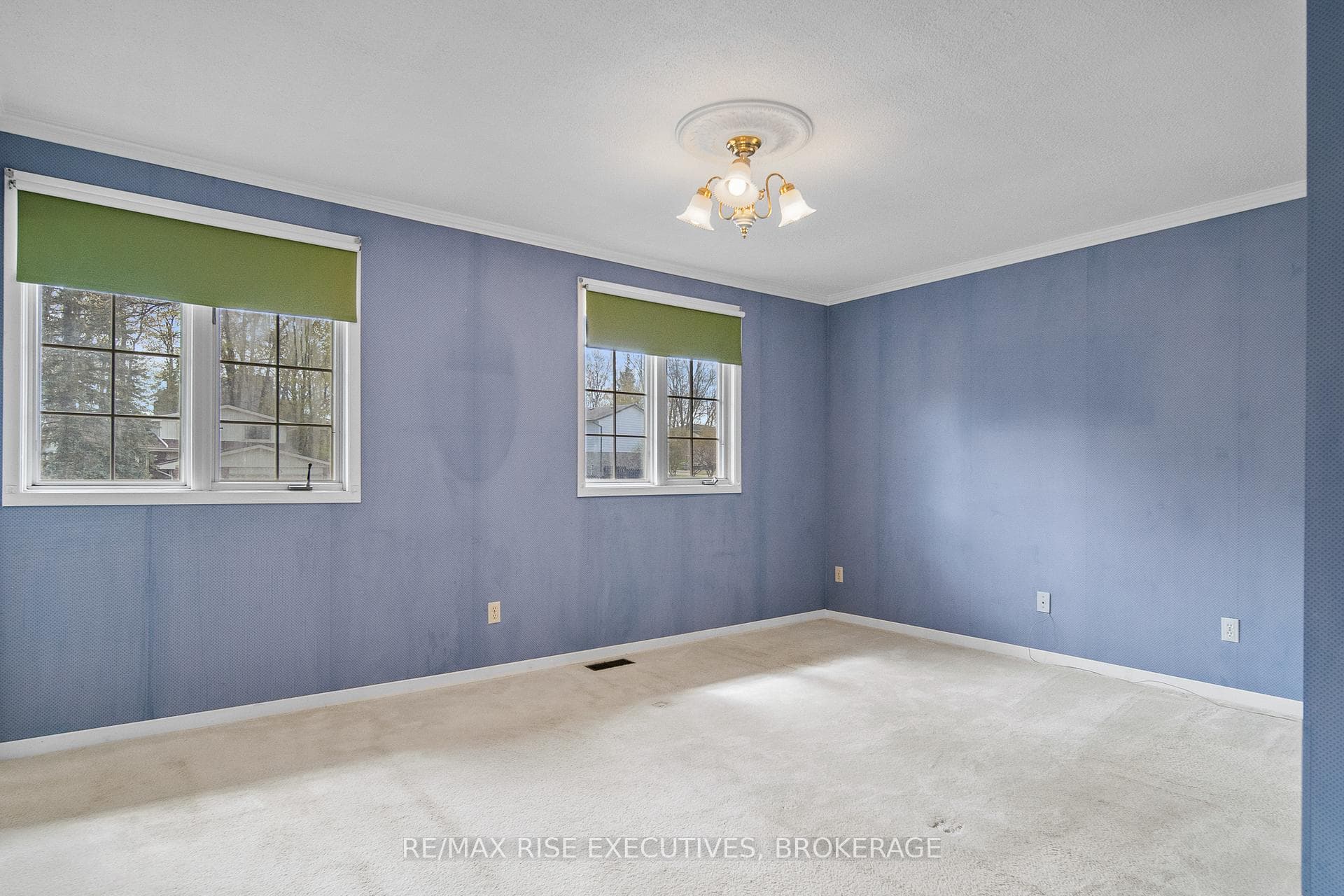 899 Safari Drive photo 24