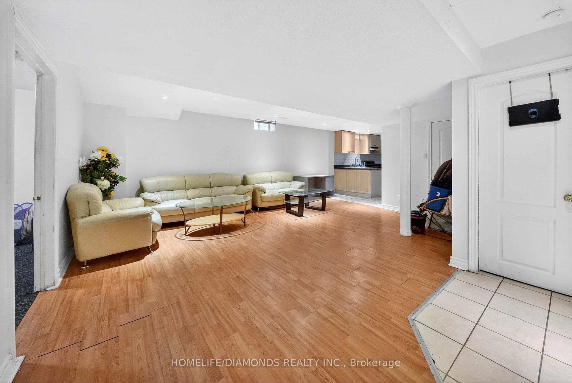 Basement Living Room
