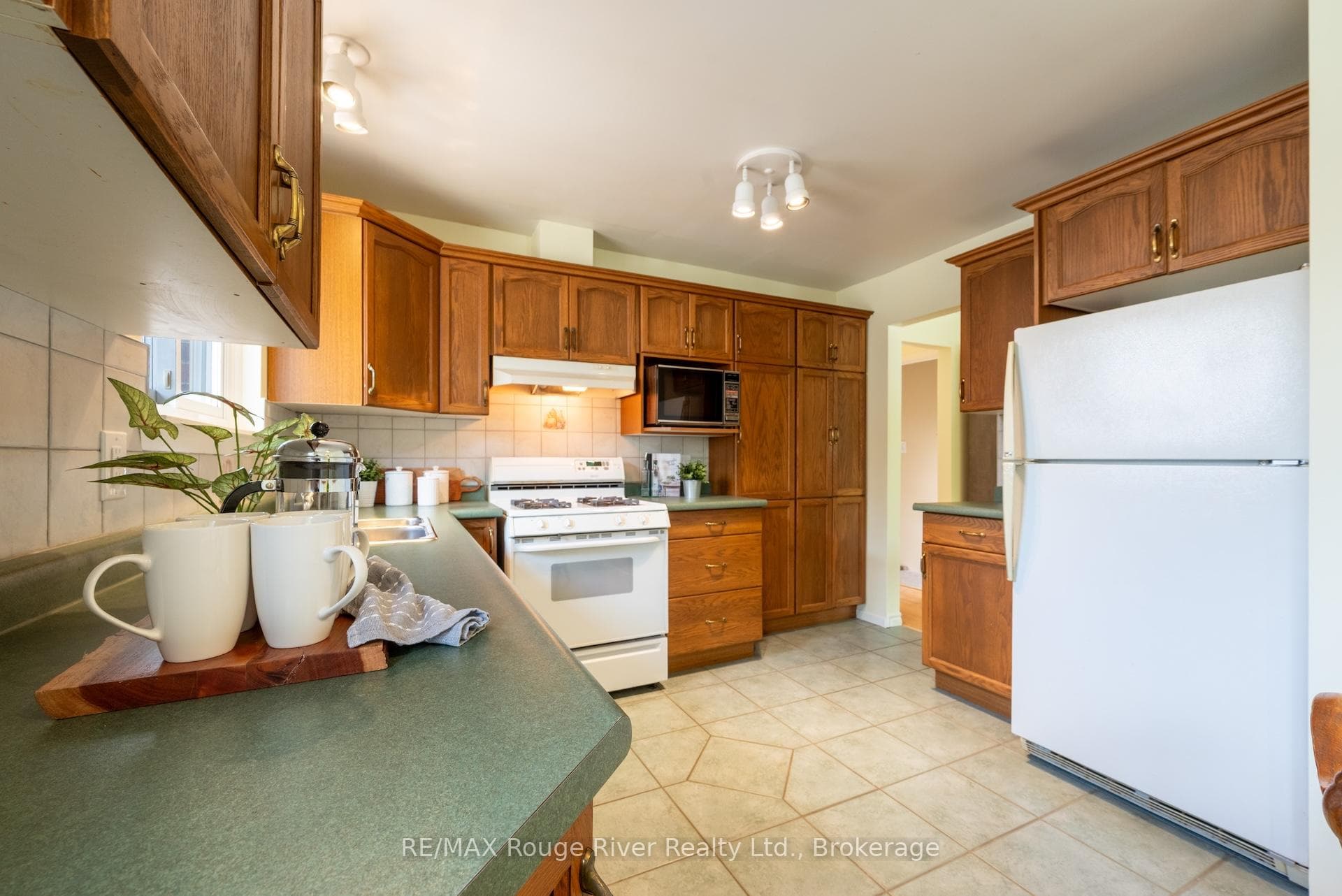 538 Willow Crescent photo 17