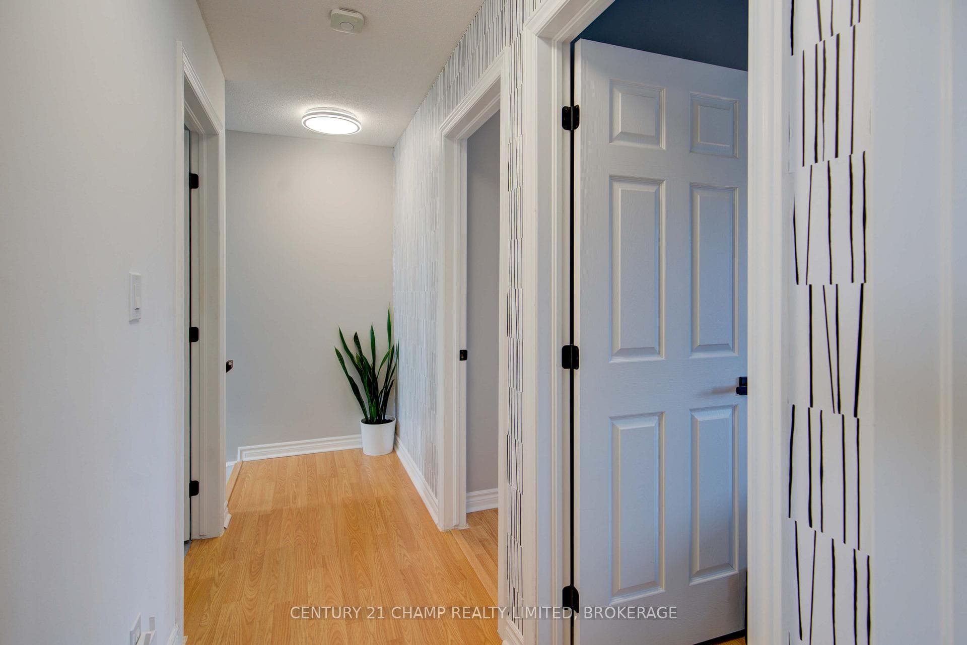 15 Raycraft Drive photo 4