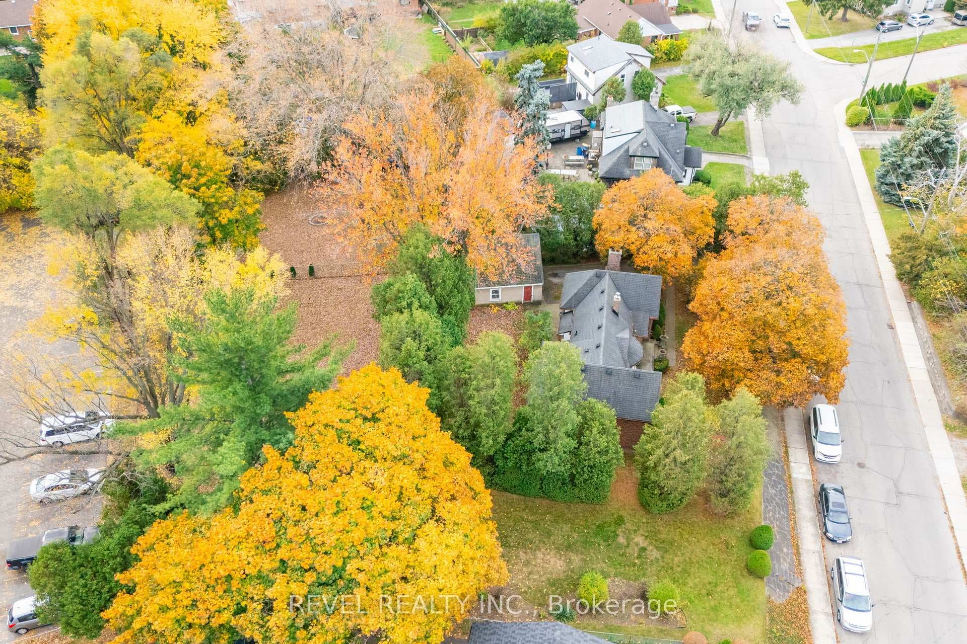 19 Pottruff Road photo 33