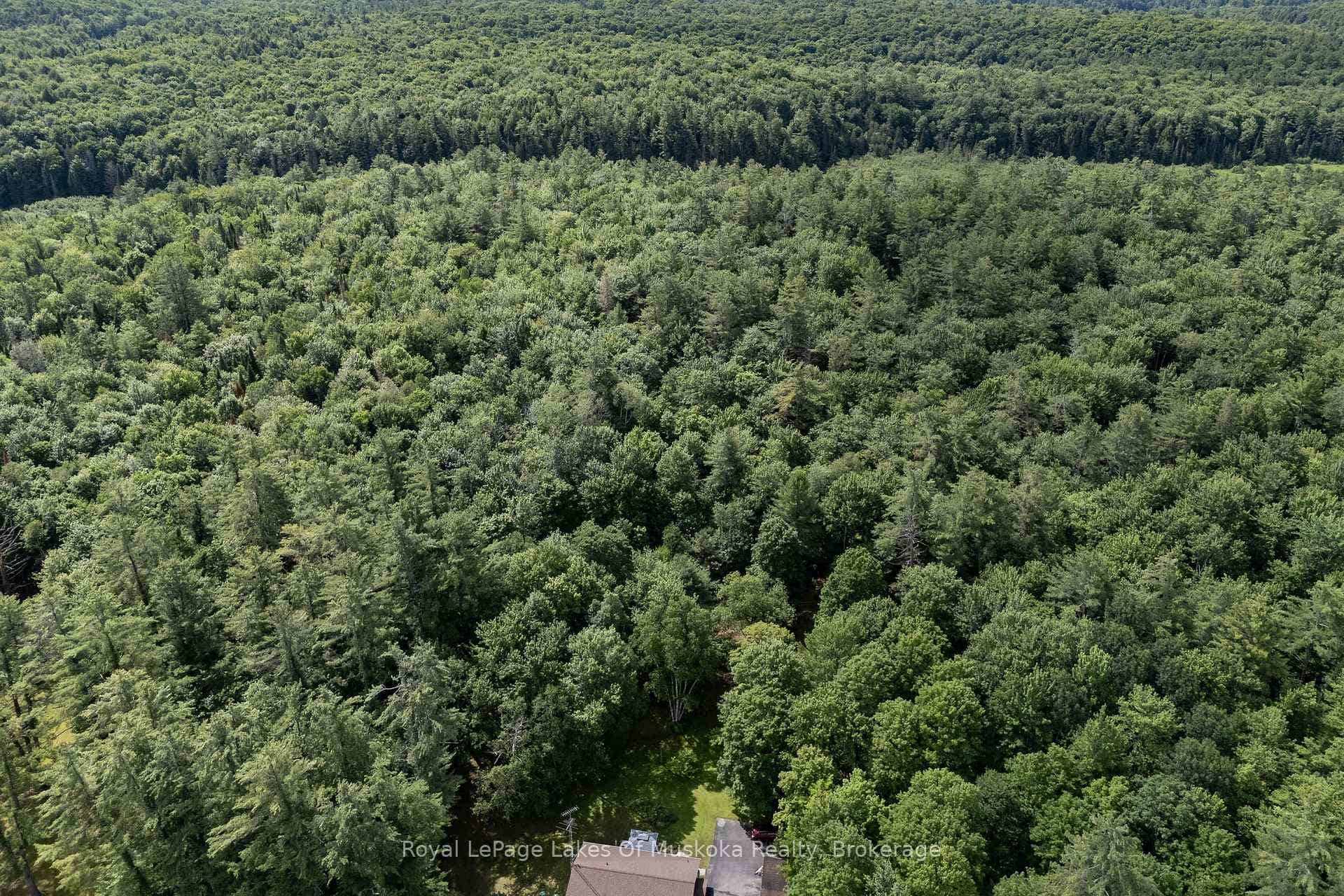 1170 Muskoka 117 Road photo 29