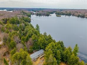 157 Gibson Bay Road photo 28
