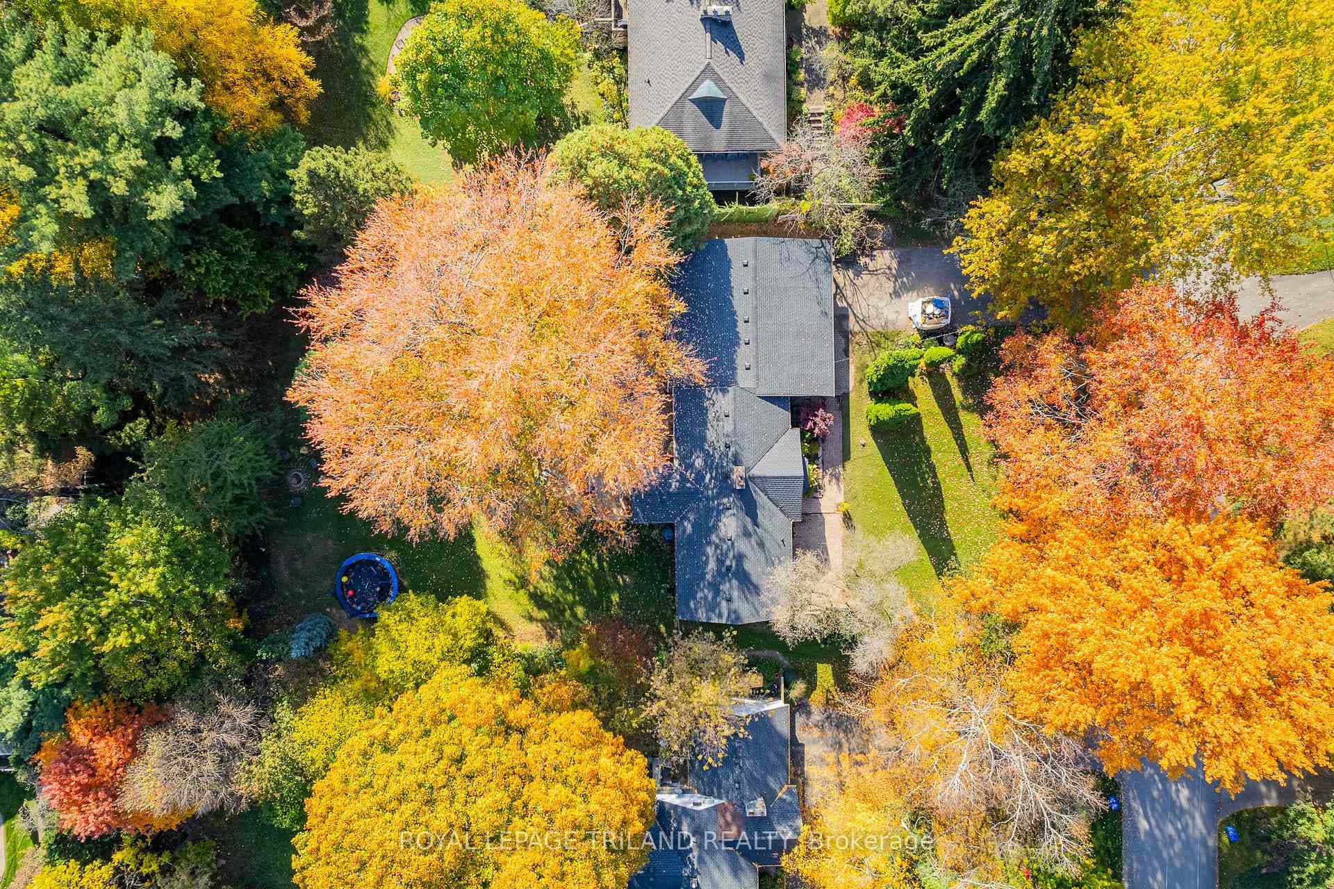 Stunning fall colours