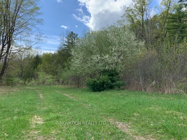 1603 Flower Station Road photo 9