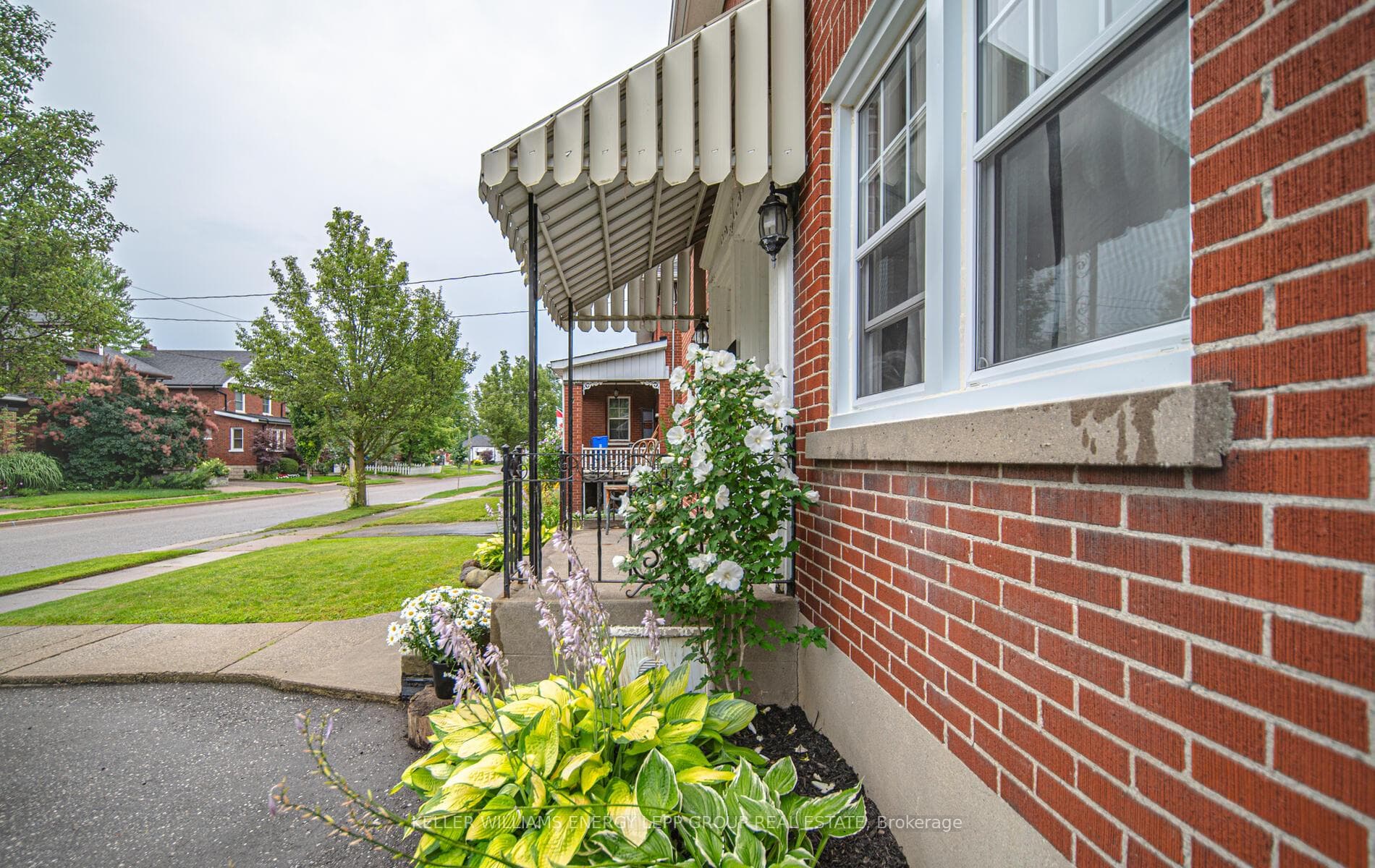 84 Rowe Street photo 5
