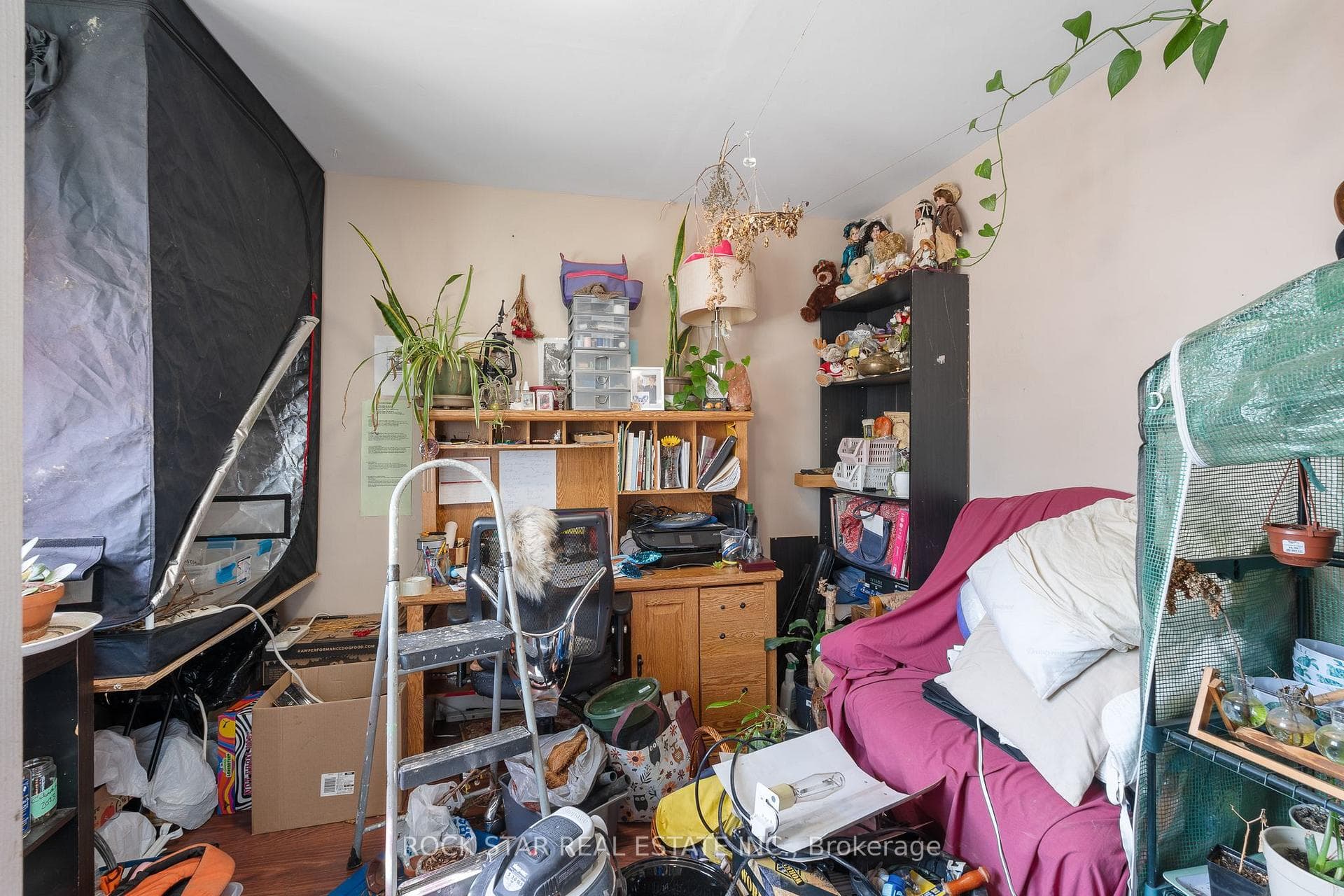1171 Albert Road photo 28