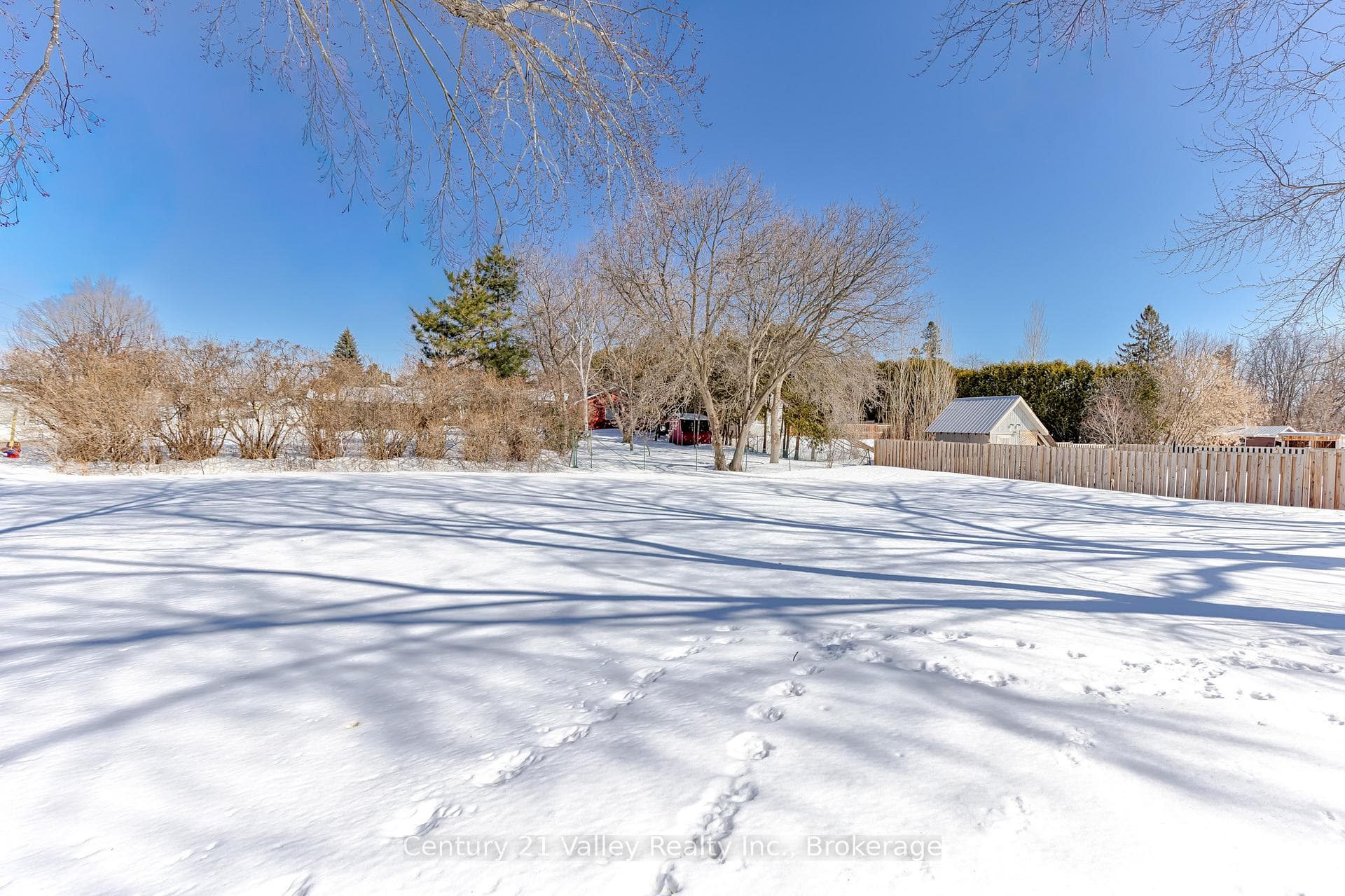 104 Arthur Street photo 6