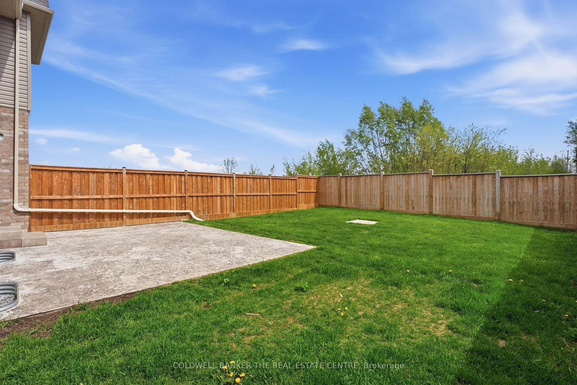 South Facing Yard