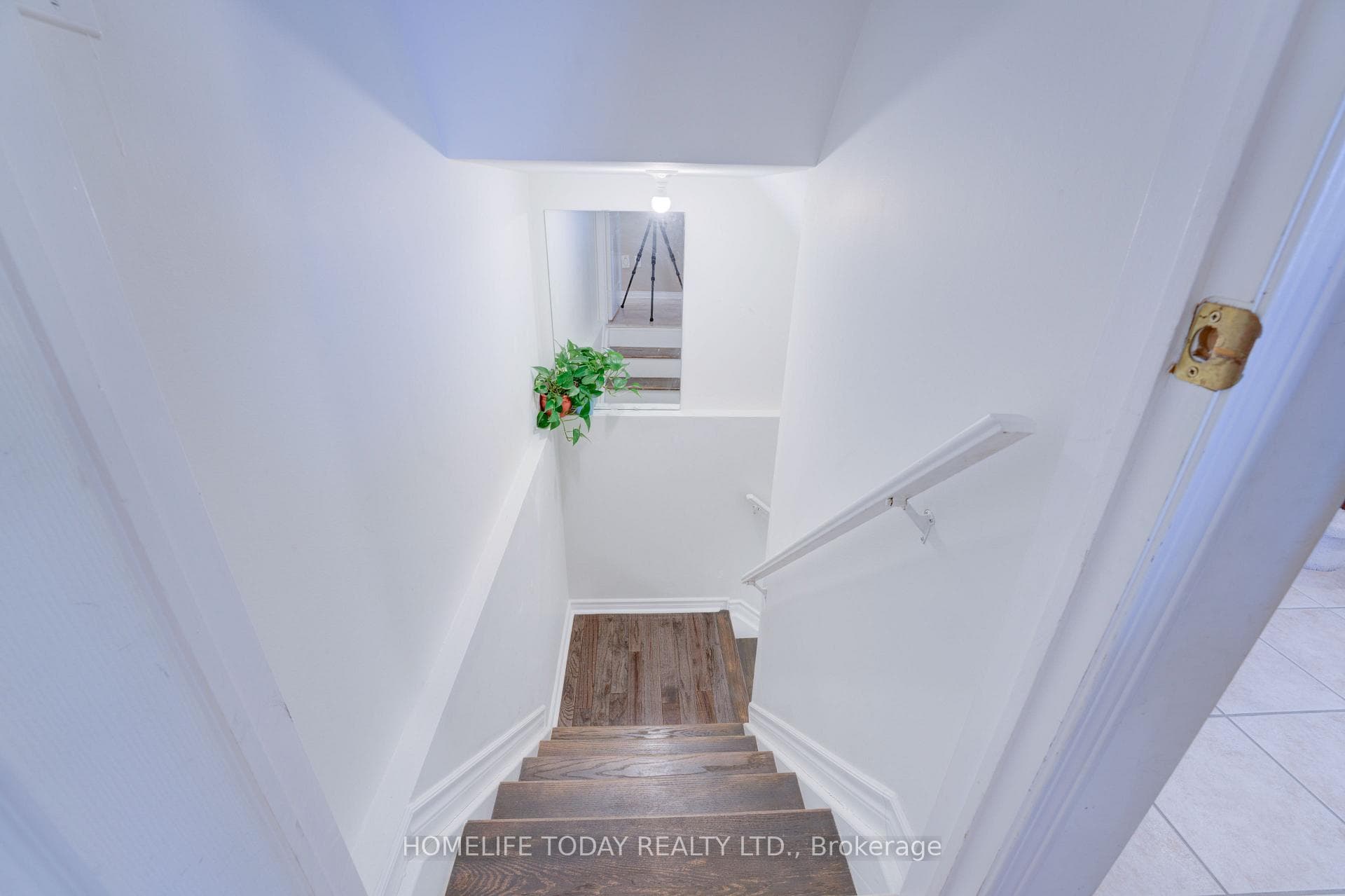 38 Telford Street photo 32