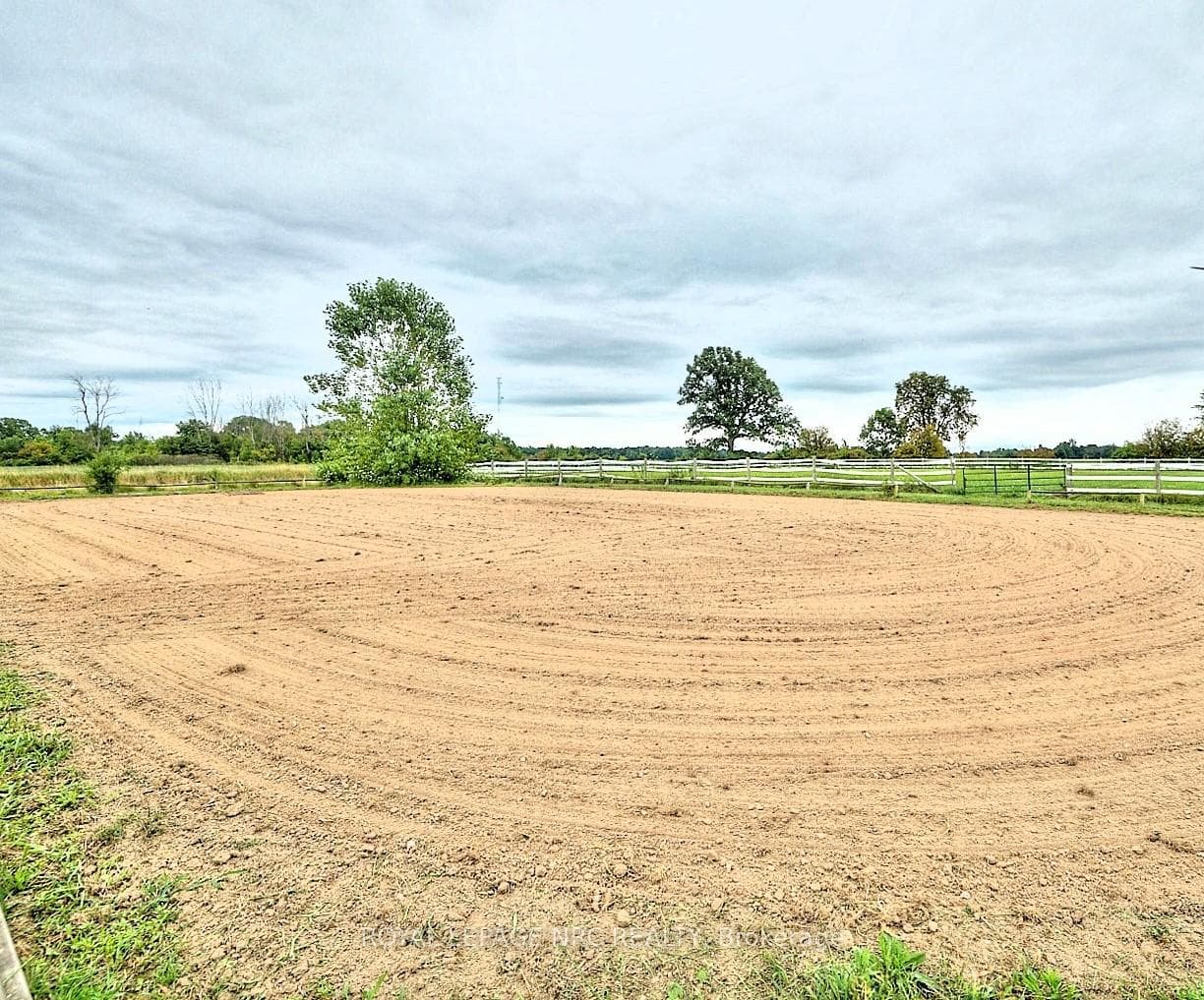 Sand Ring (70' x 140') Riding & Training