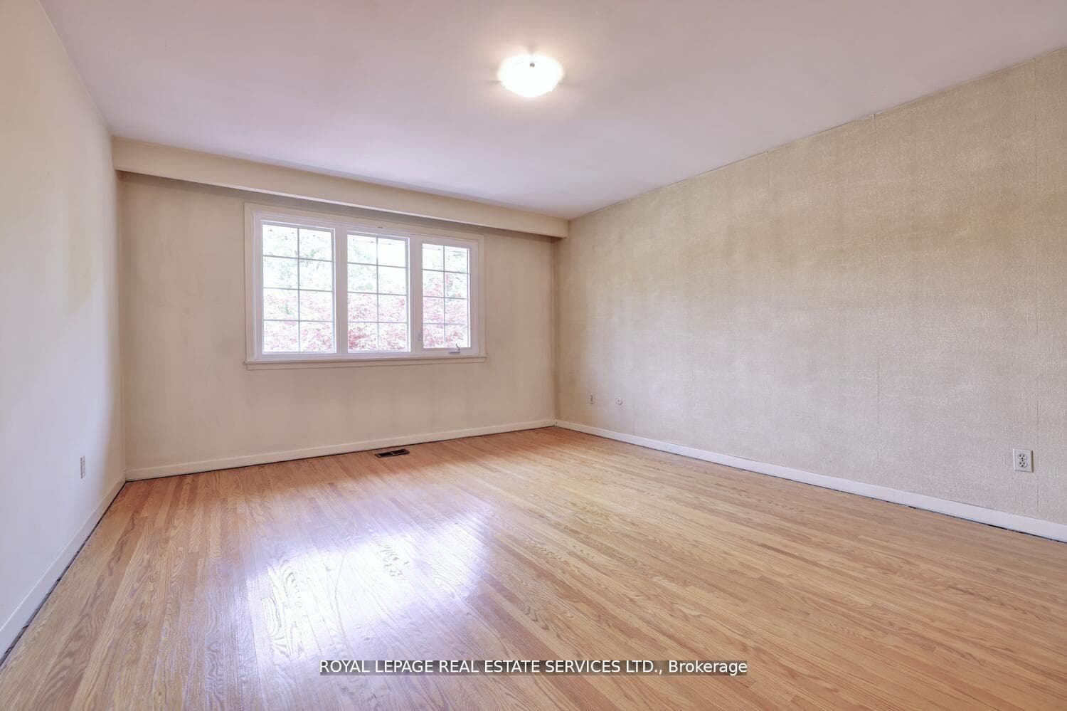 39 Pettit Drive photo 17