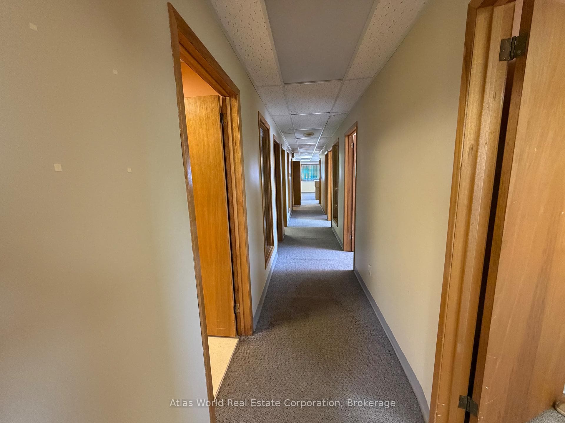 137 George Street photo 24