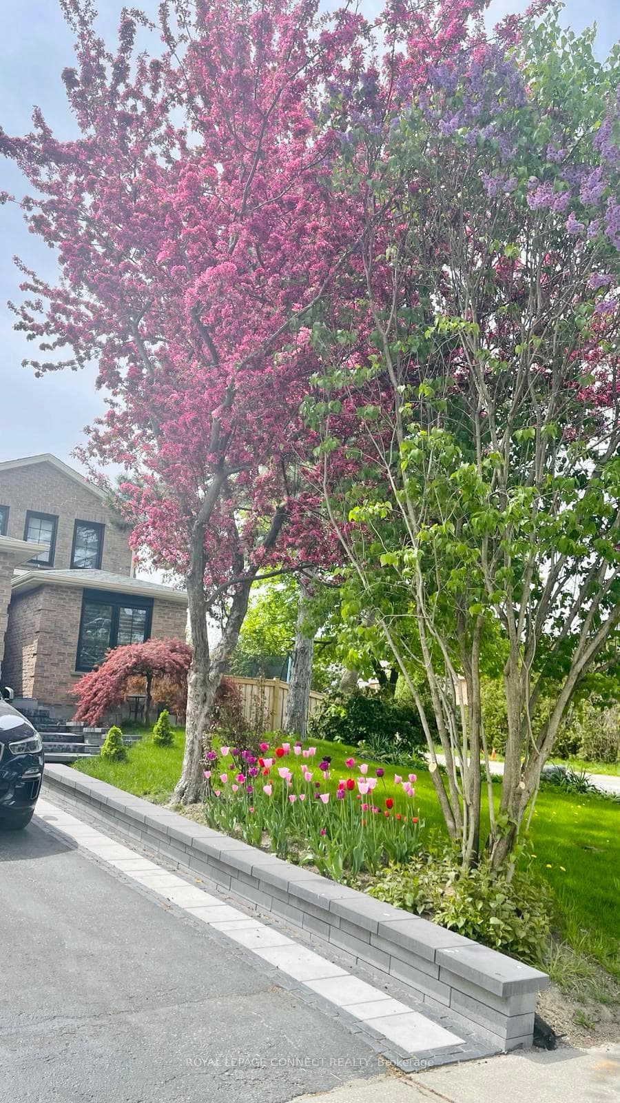 1850 Spruce Hill Road photo 37