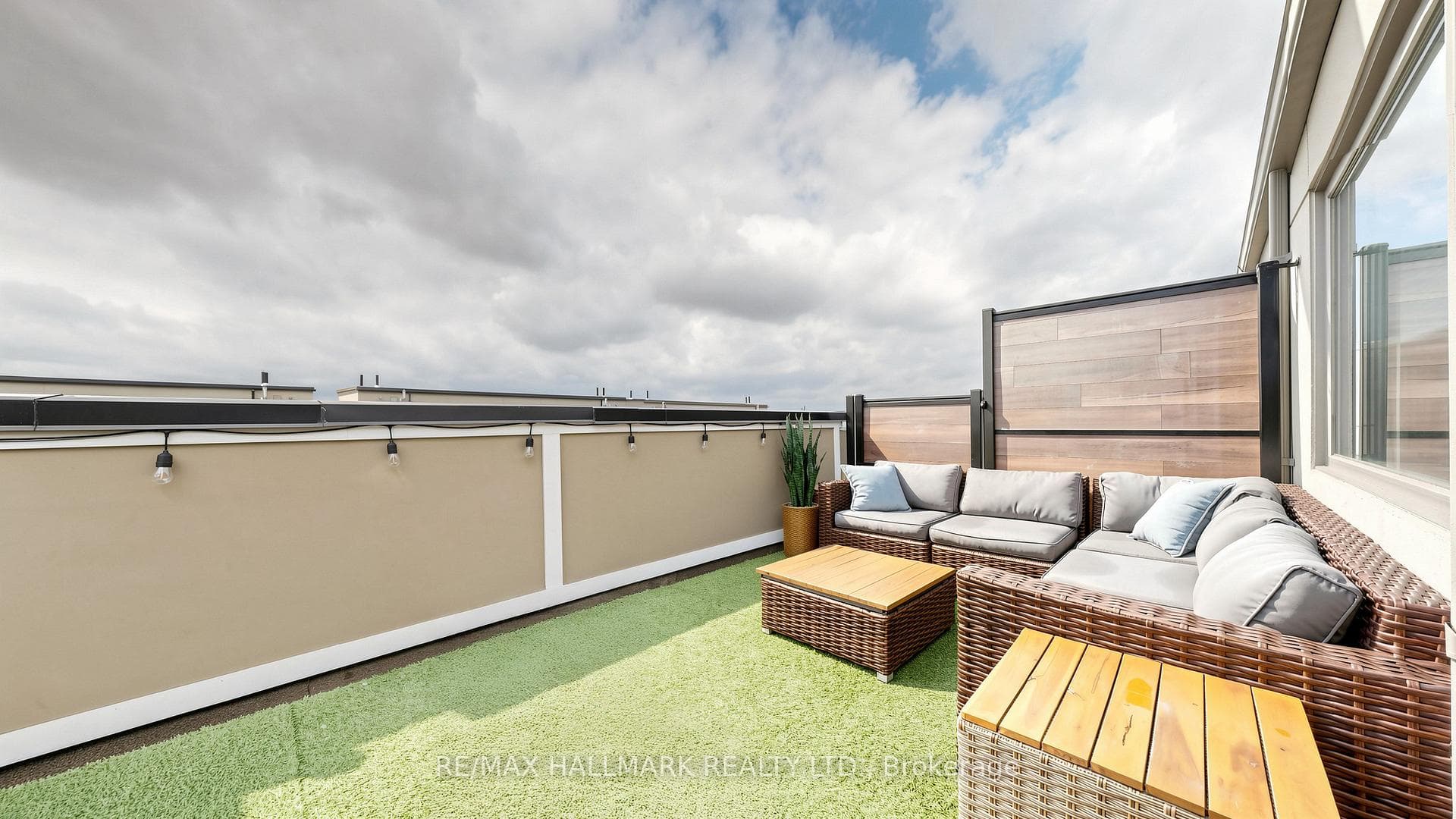Rooftop terrace #1