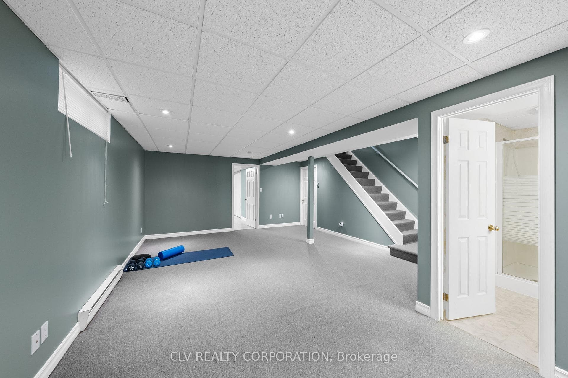 Recreation Room Basement