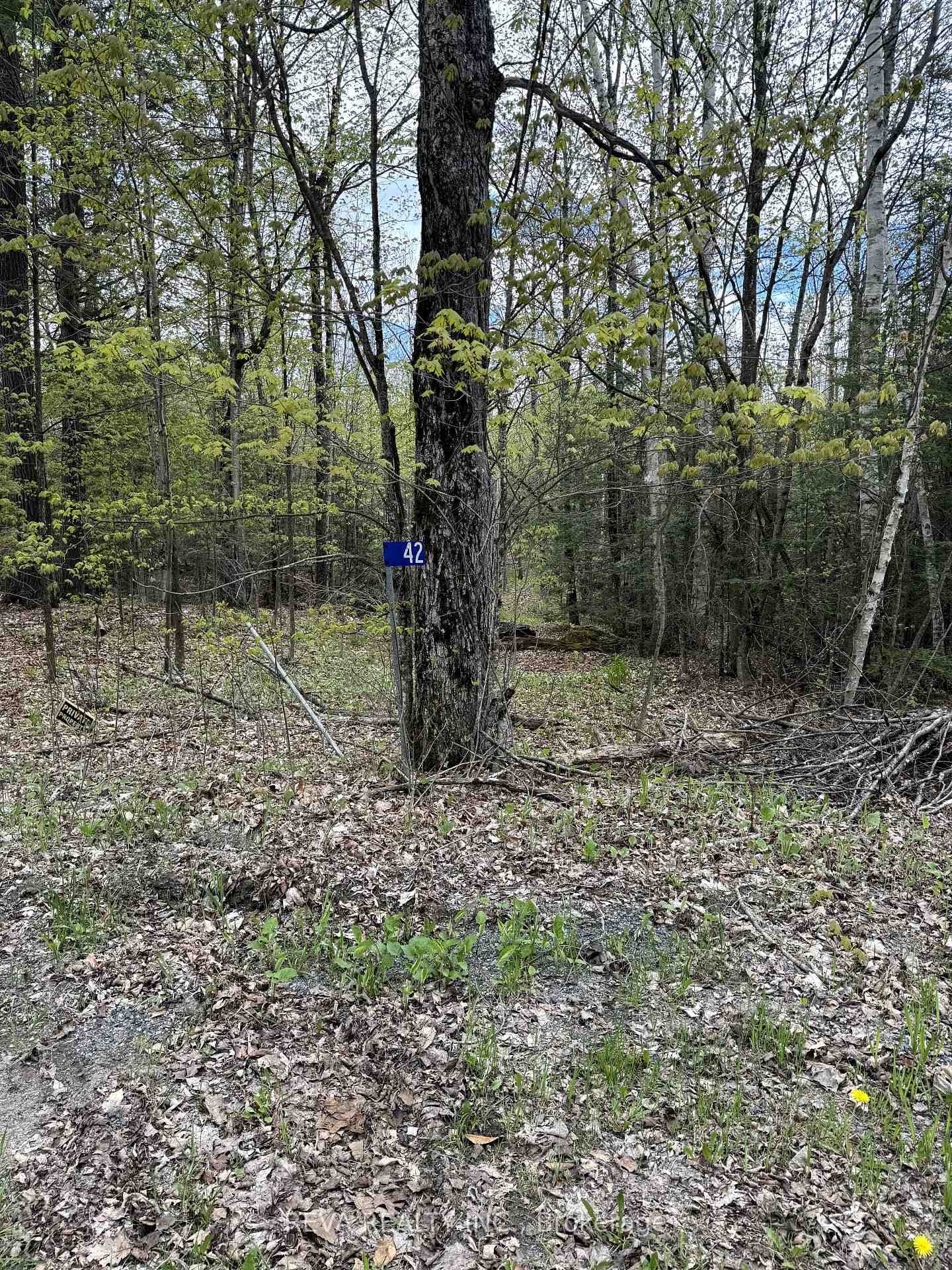 42 Clear Lake Court photo 1
