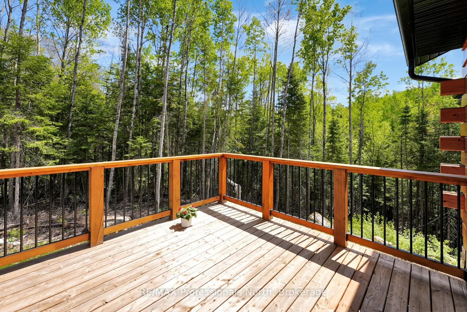 6587 Elephant Lake Road photo 16