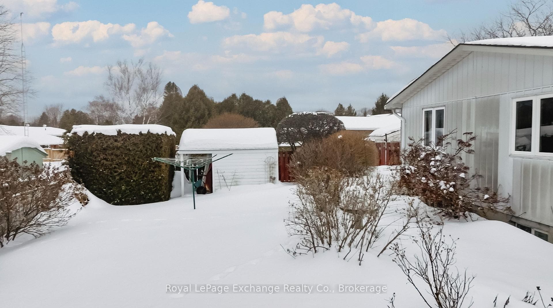 Backyard facing west.