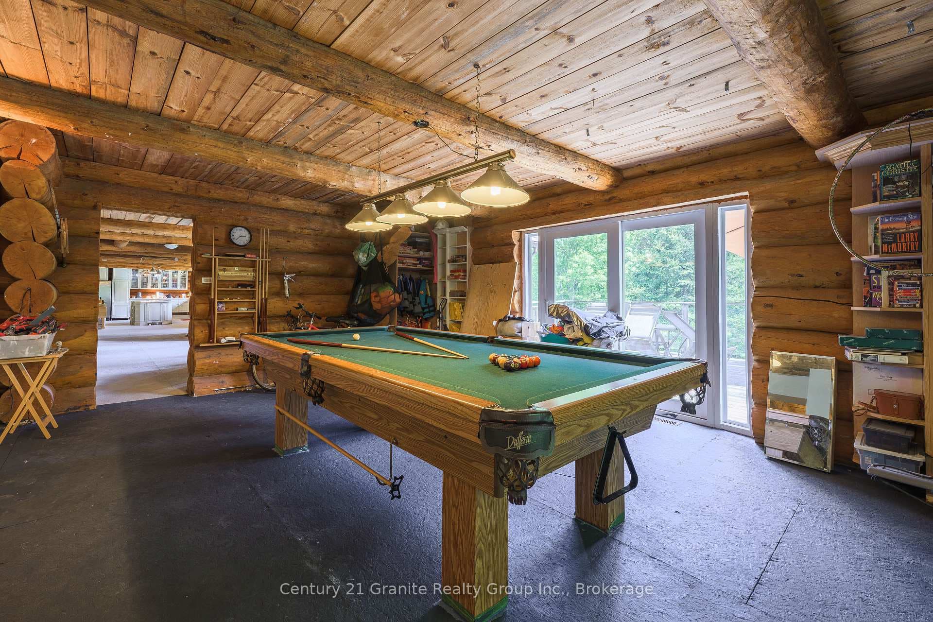 1123 Dardanelles Road photo 21