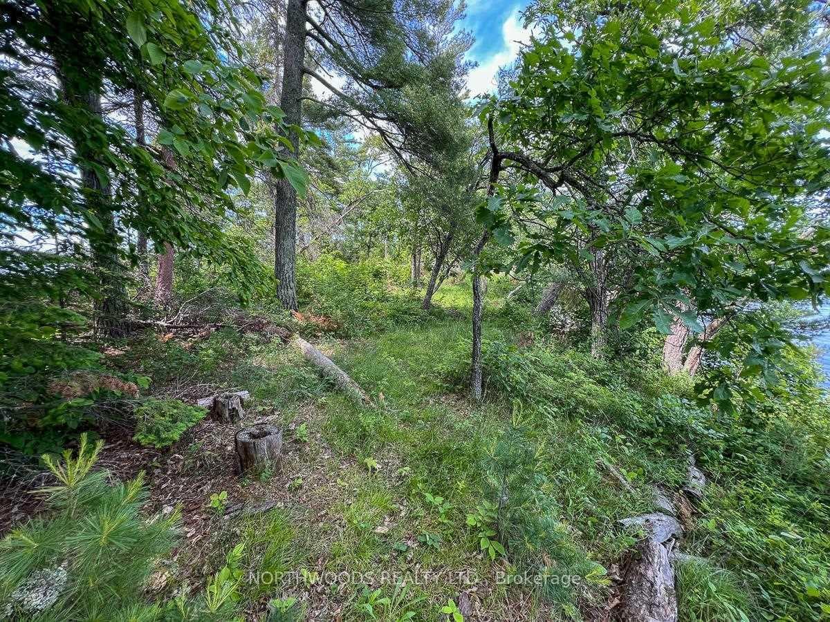 Island G2261 photo 45