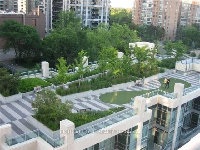 Roof Top Garden