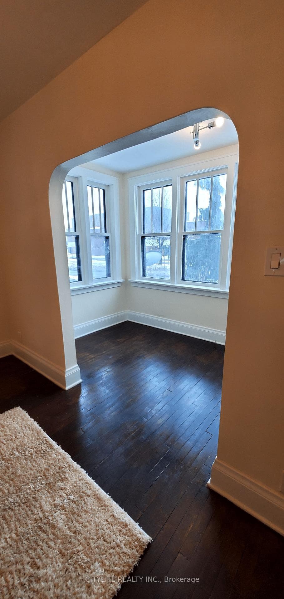 244 Albert Street photo 8