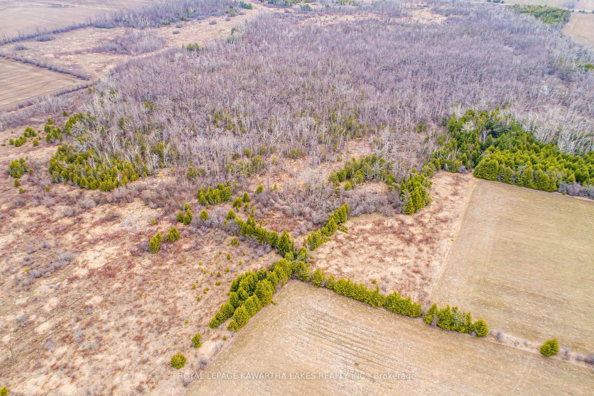 210 Grasshill Road photo 5