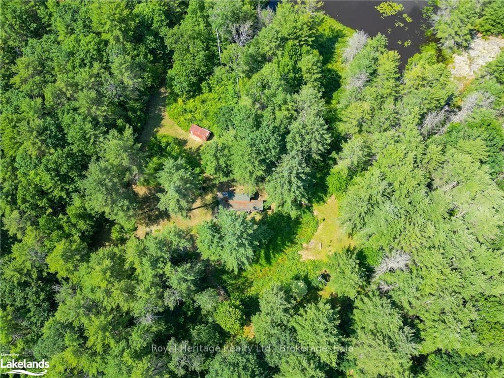 1186 SAM COOK Road photo 21