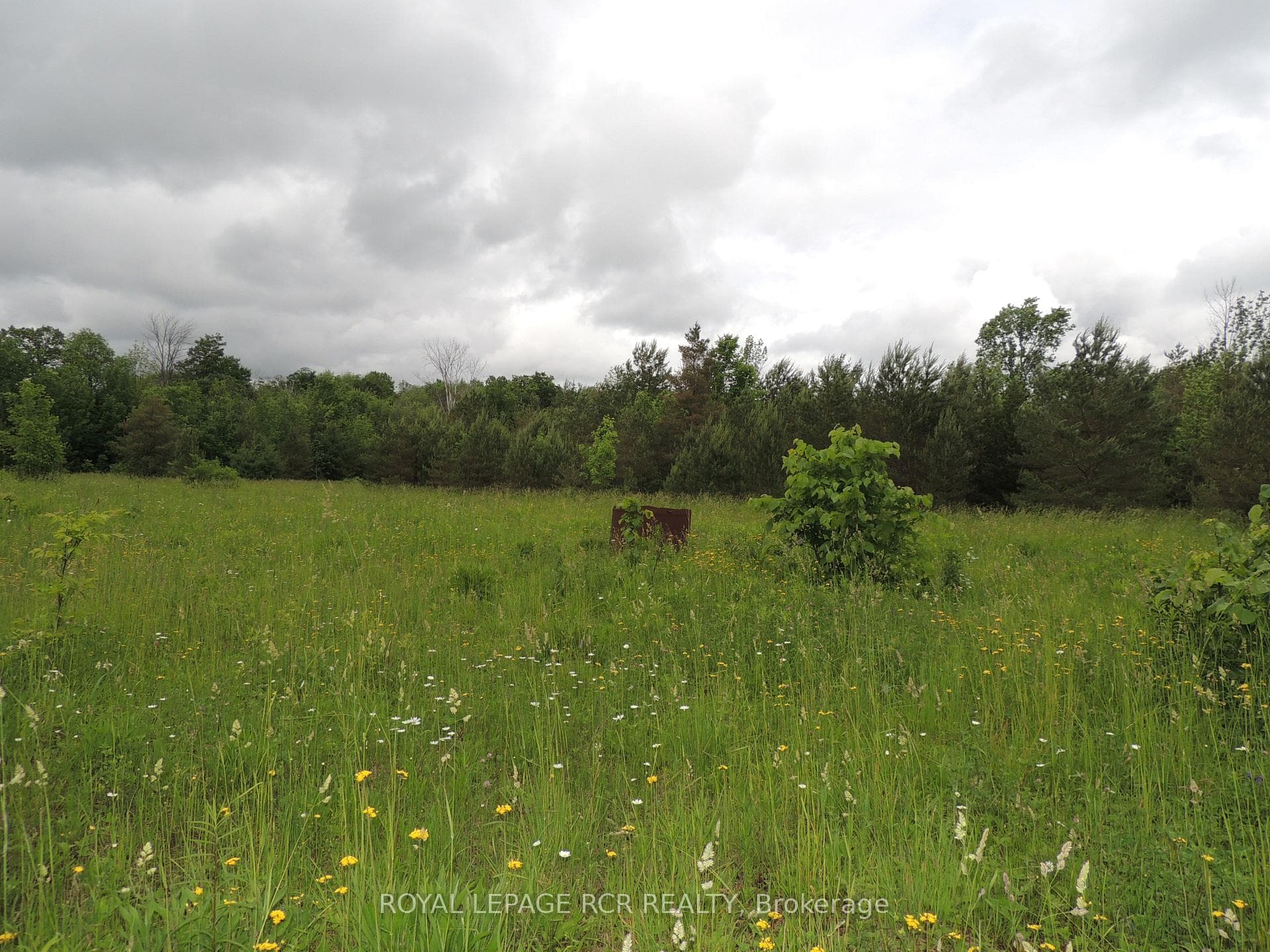 136249 Grey Road 40 Road photo 29