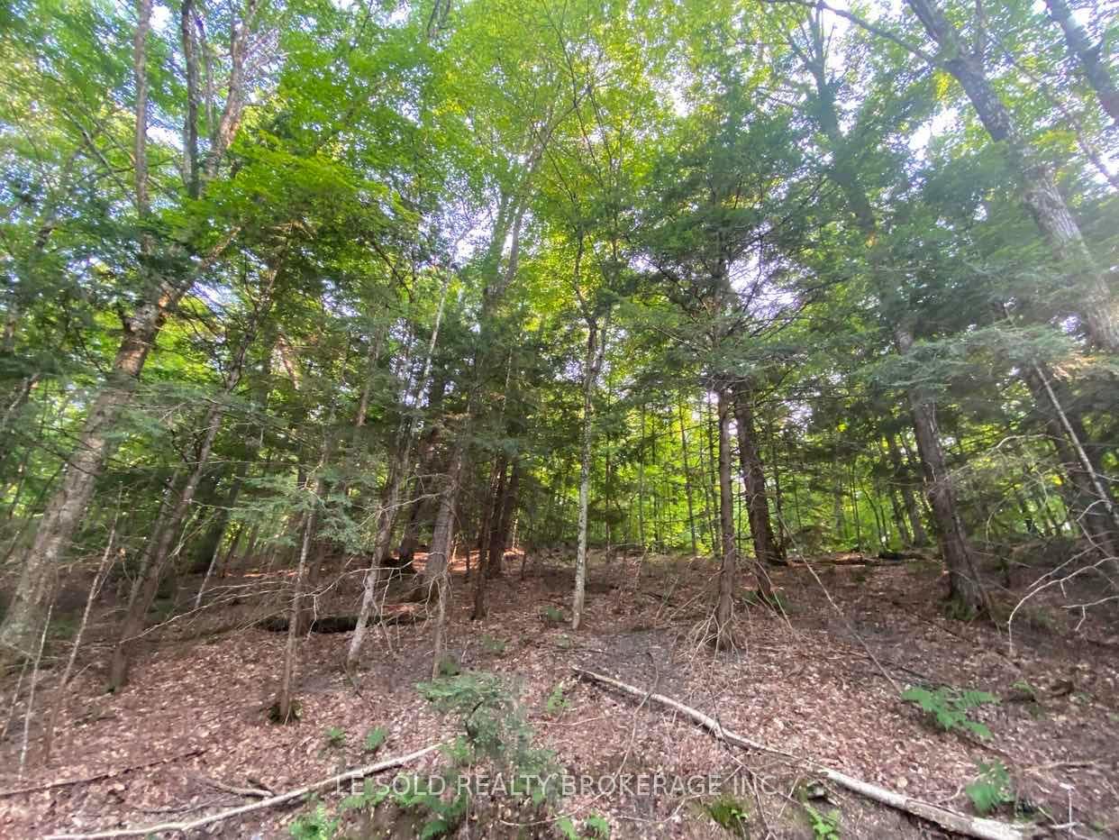 1310 Camel Lake Road Unit Lot # 7 photo 3