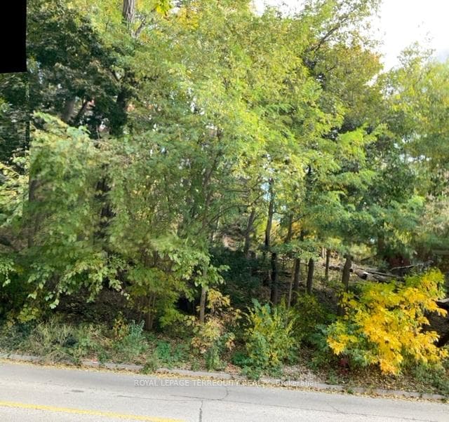 14 Humbercrest Boulevard photo 32