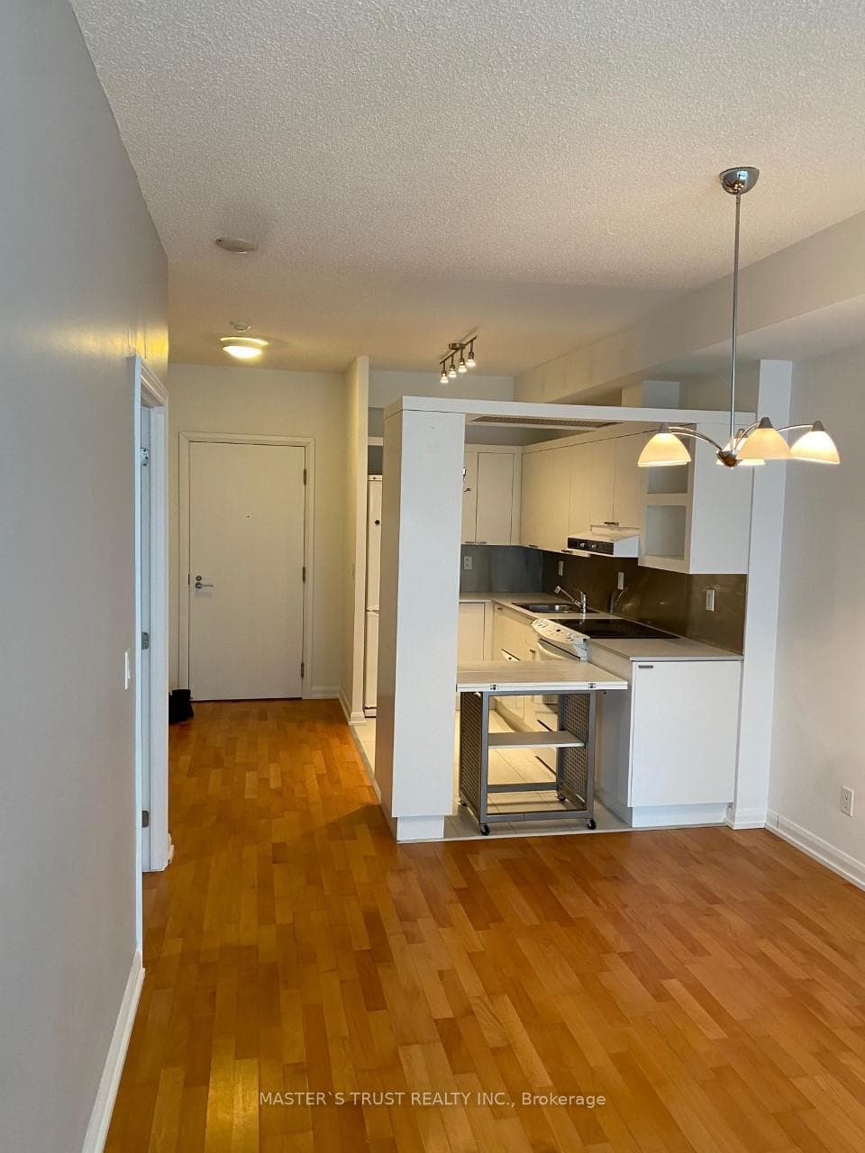 111 Elizabeth Street Unit 1716 photo 9
