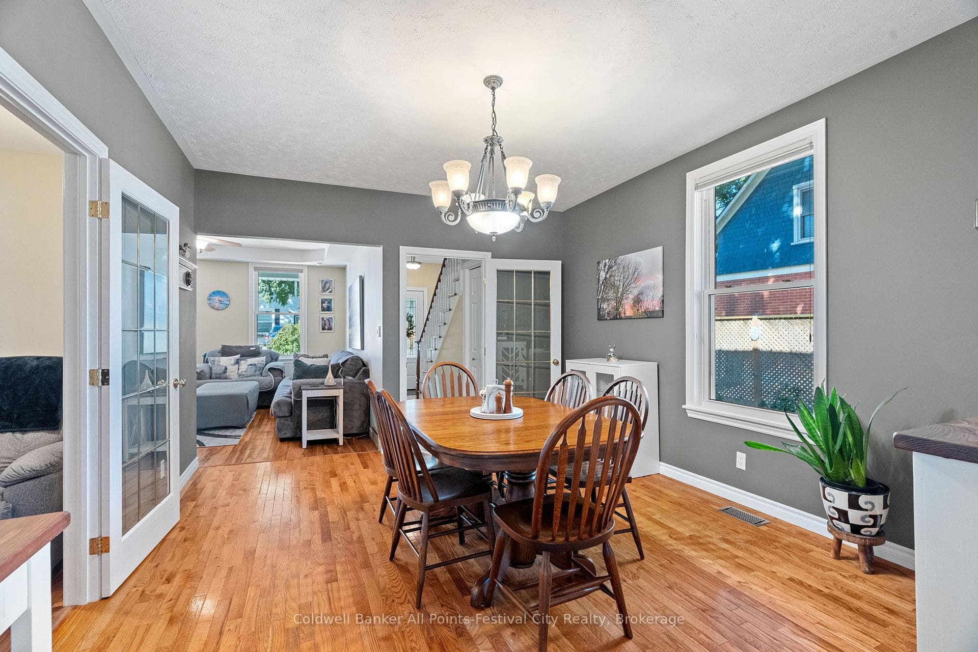 54 Trafalgar Street photo 15