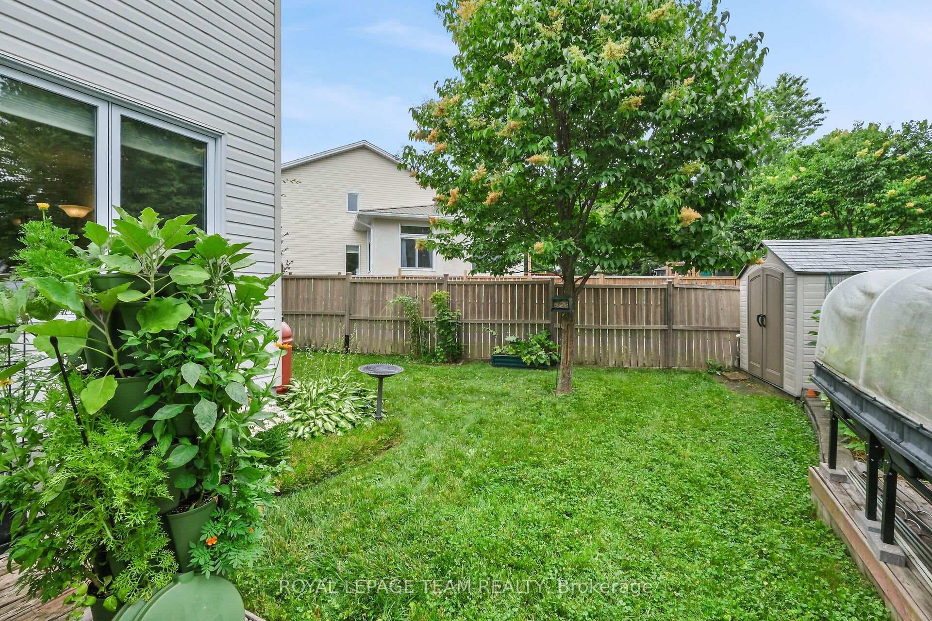 Low maintenance perennials in backyard.