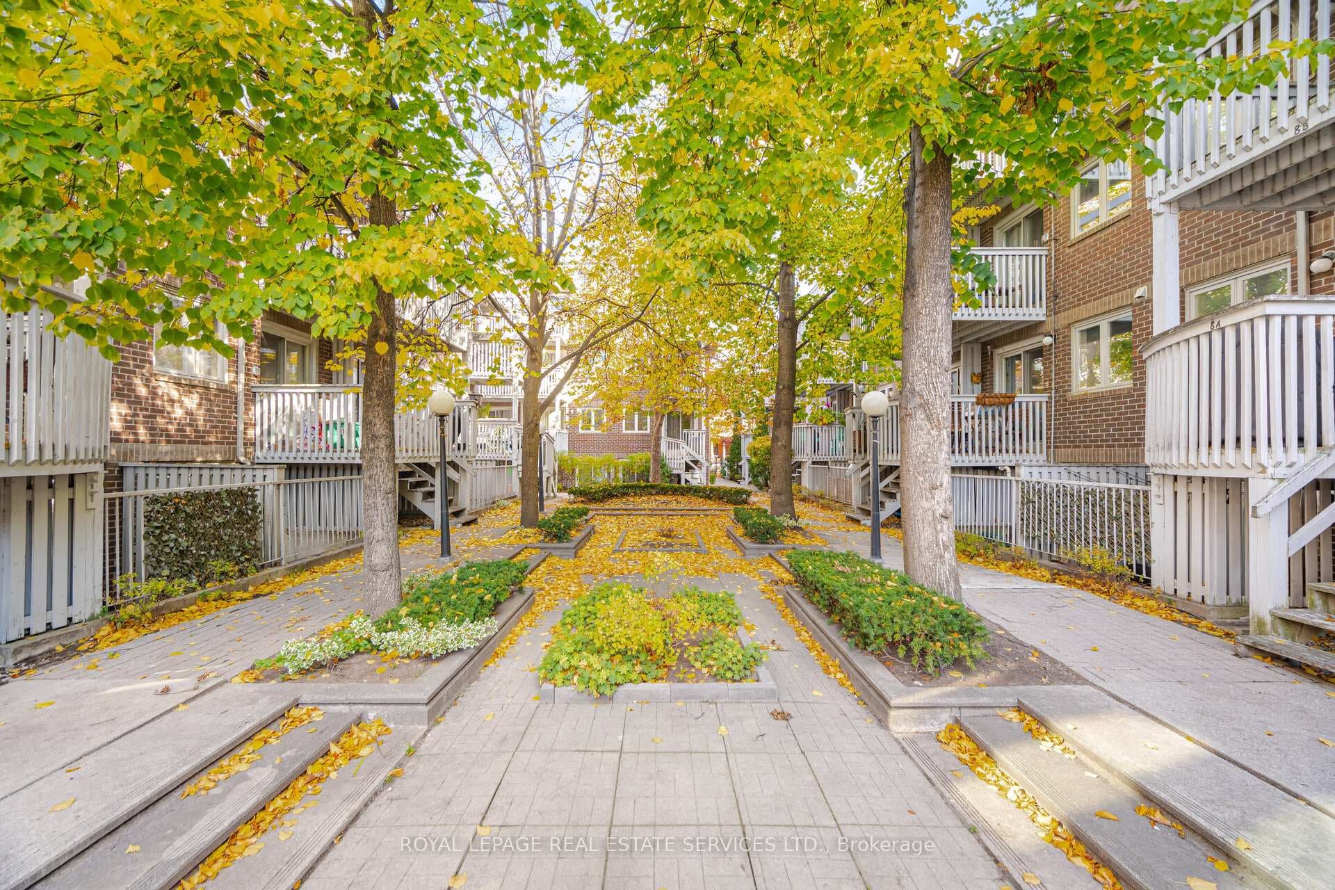 24A Massey Street photo 34