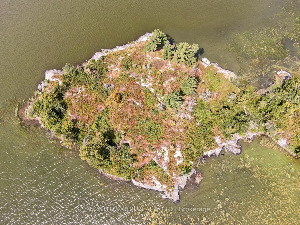 Sabaskong Bay Island G2217 photo 21