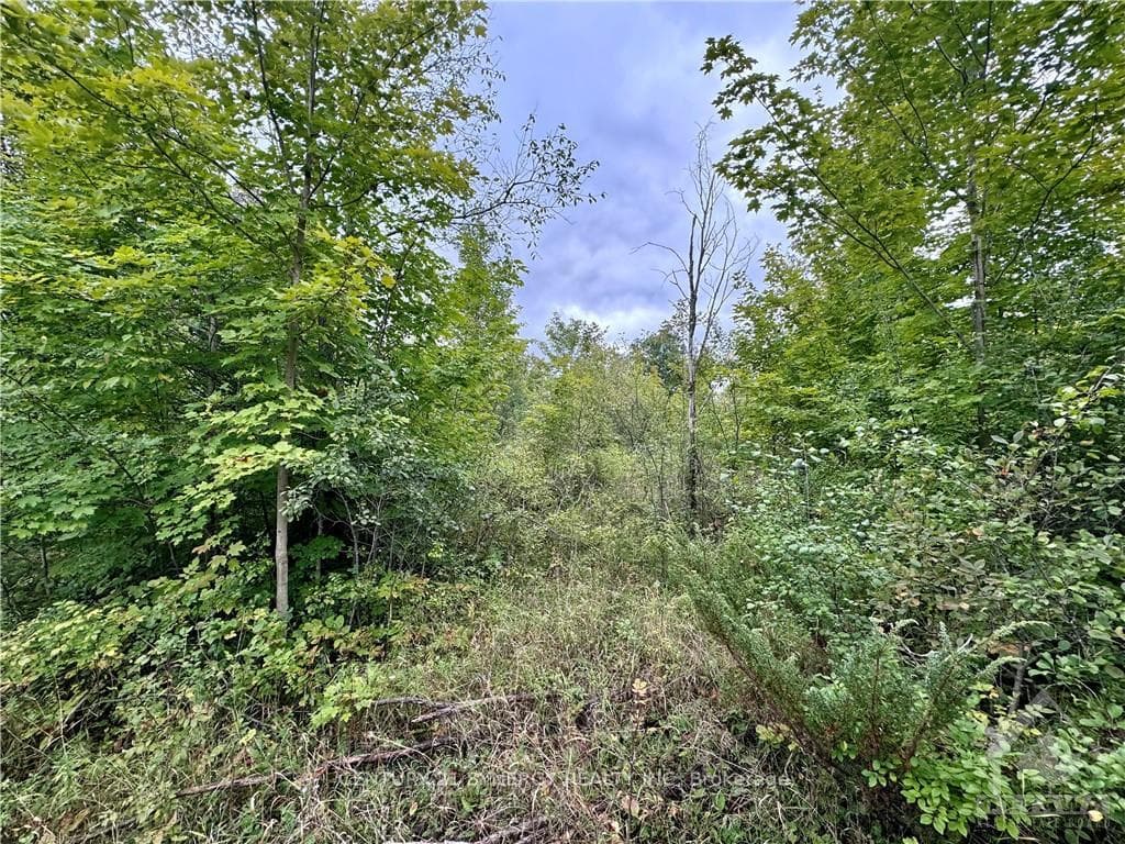 335 KITLEY 3 Line photo 17