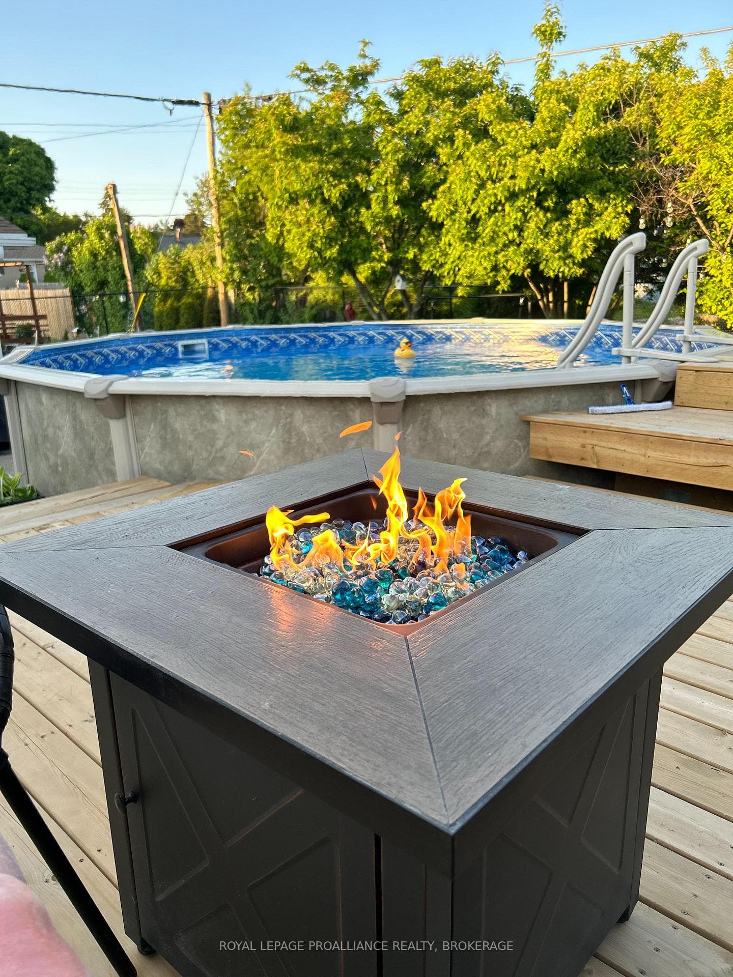 Summer Oasis