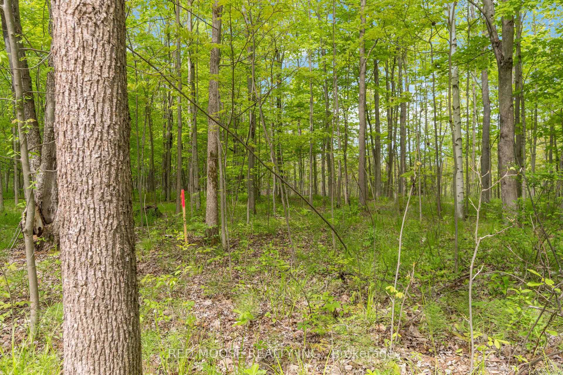 Part Lot 4 Concession 1 Road photo 8