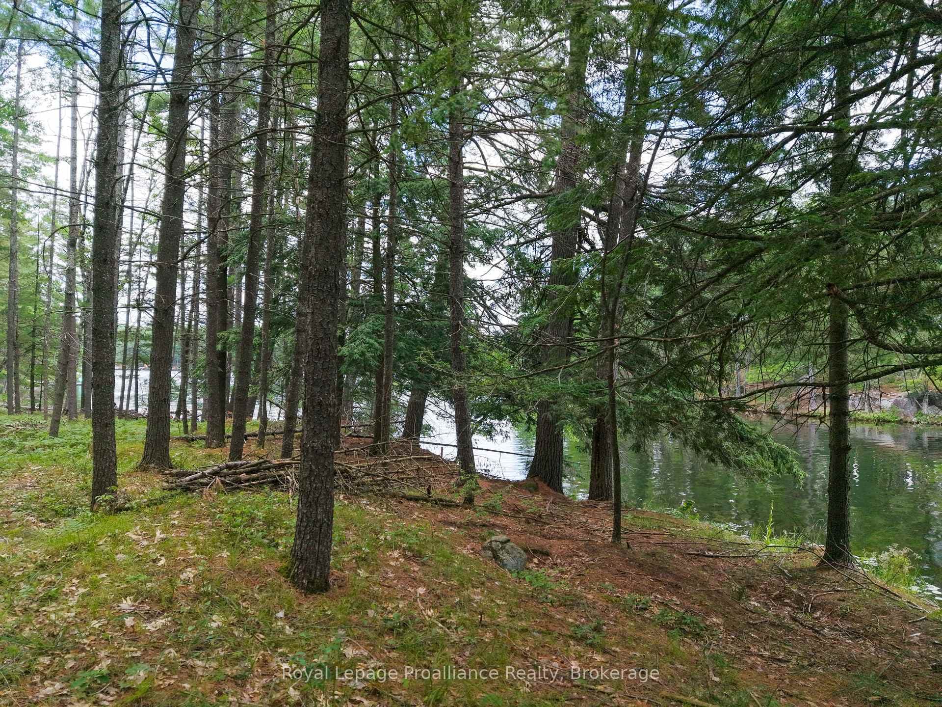 1 WAO Kasshabog Lake N/A photo 33