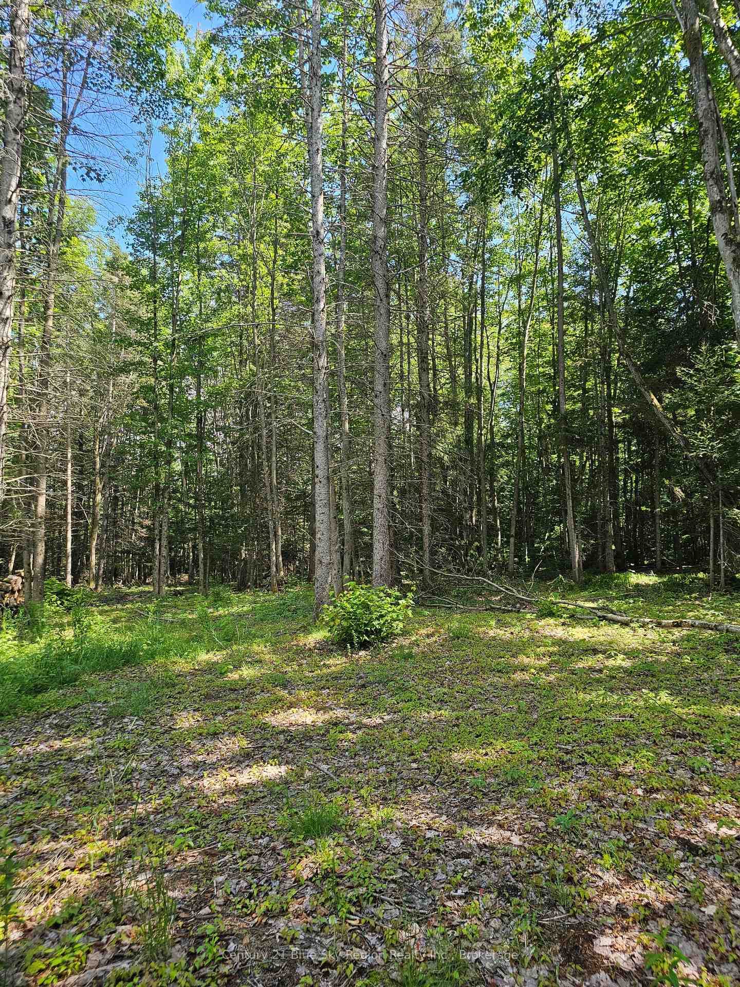 4369 Highway 534 N/A photo 11